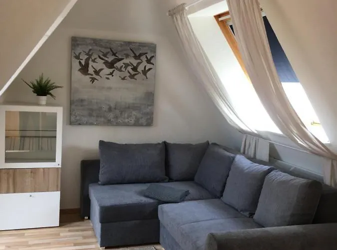Boelke 3*
